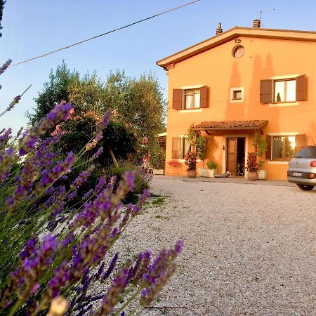 Locanda Della Lavanda San Clemente  Bagian luar foto