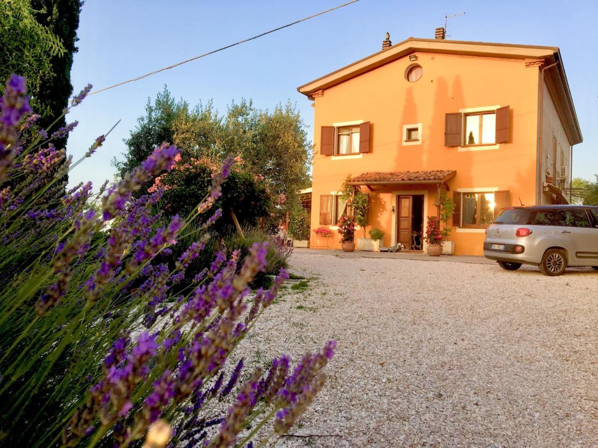 Locanda Della Lavanda San Clemente  Bagian luar foto