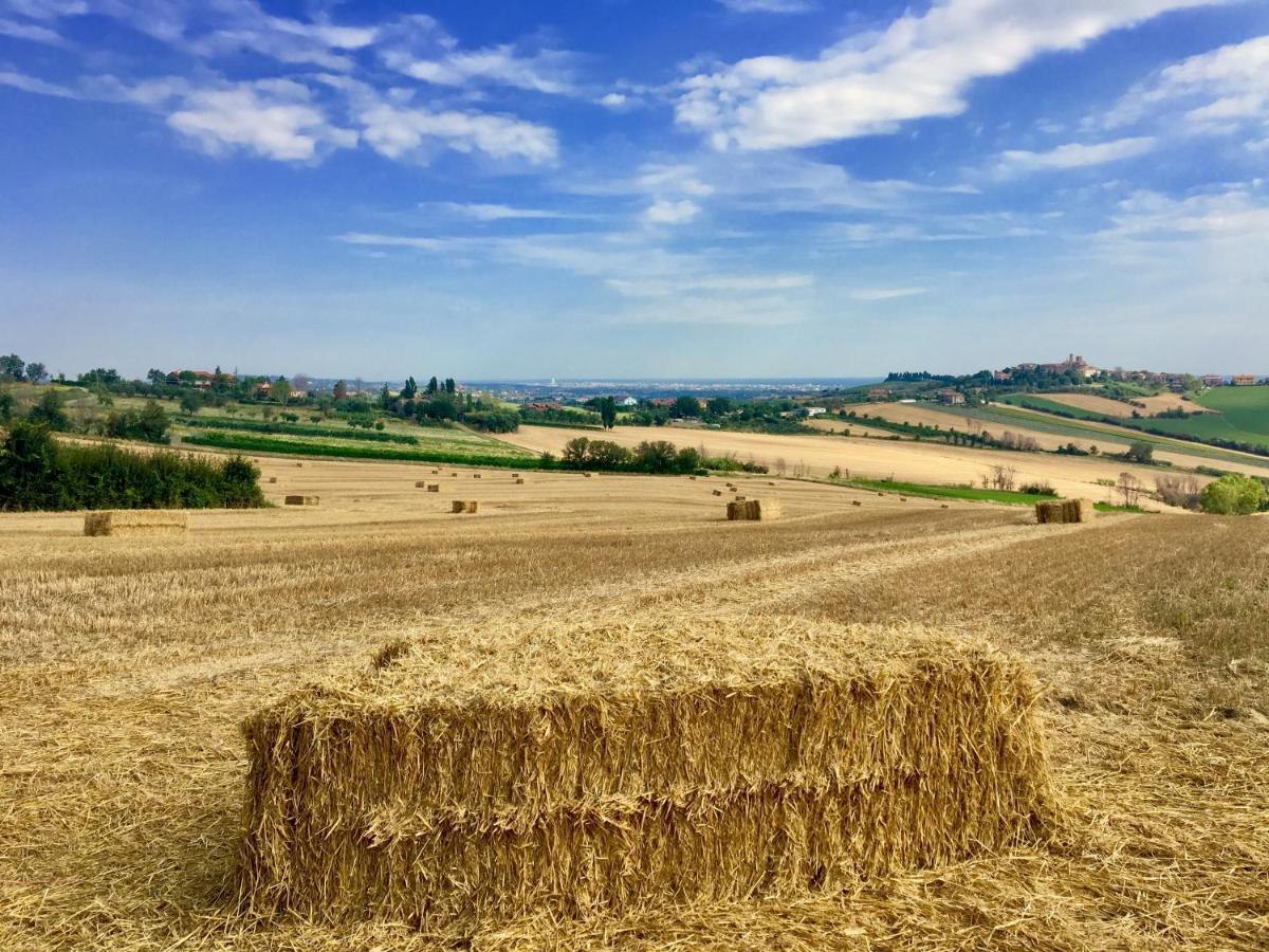 Locanda Della Lavanda San Clemente  Bagian luar foto