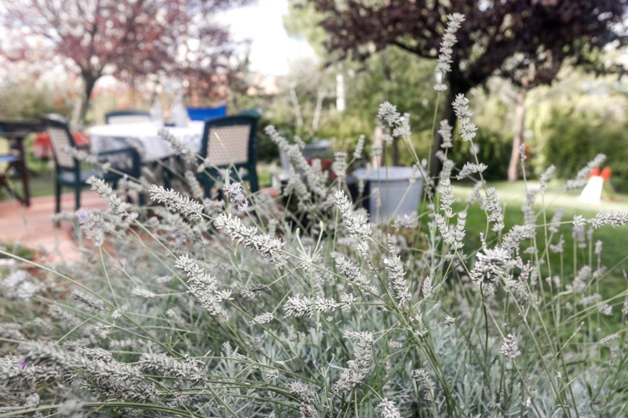 Locanda Della Lavanda San Clemente  Bagian luar foto